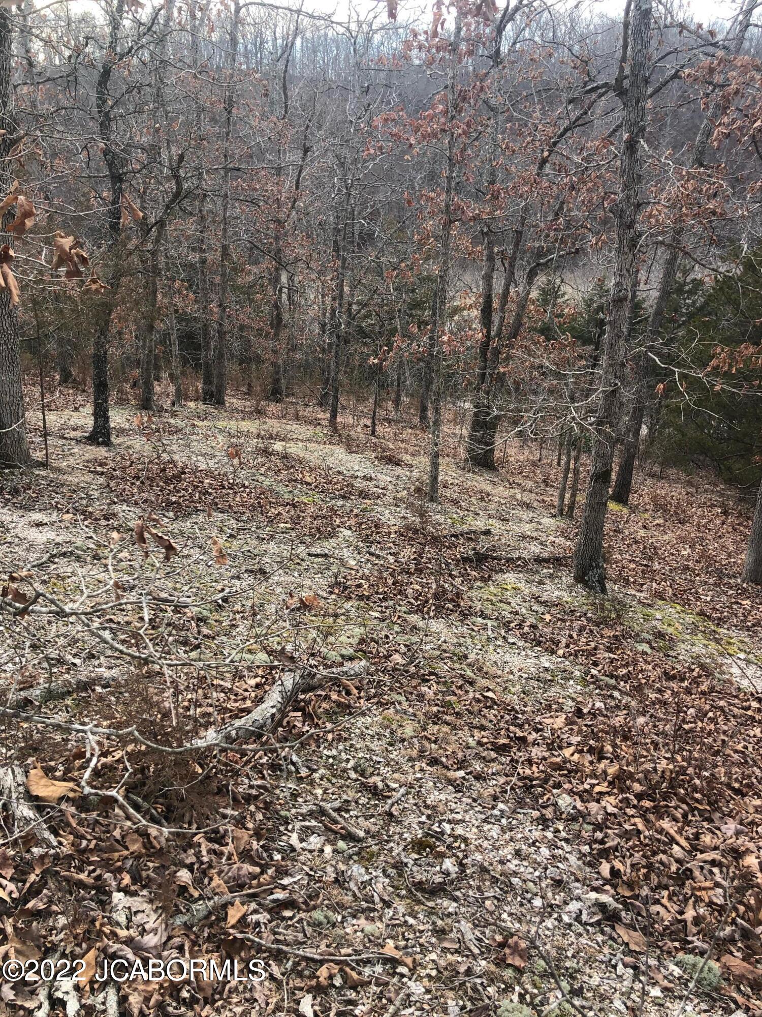 Tbd Broads Branch Road Macks Creek, MO 65786 - Photo 4 of 18