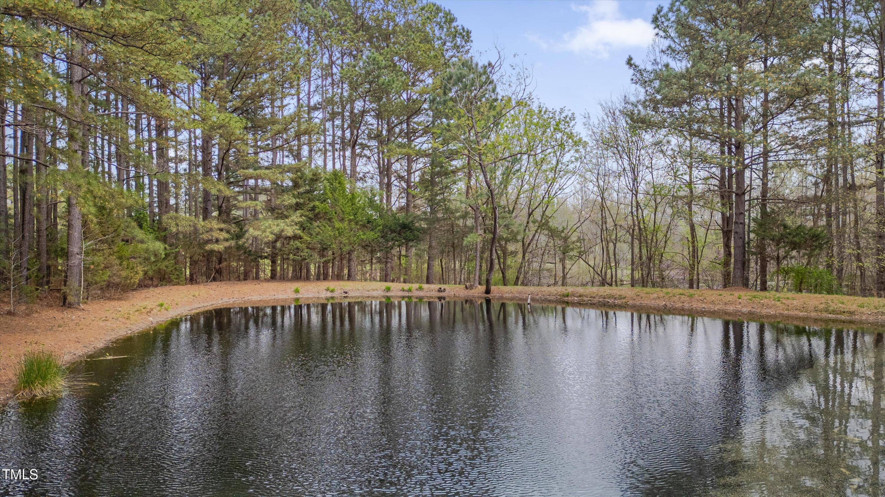2411 Lynch Store Road Mebane, NC 27302 - Photo 39 of 52 40-2411 Lynch Store-40