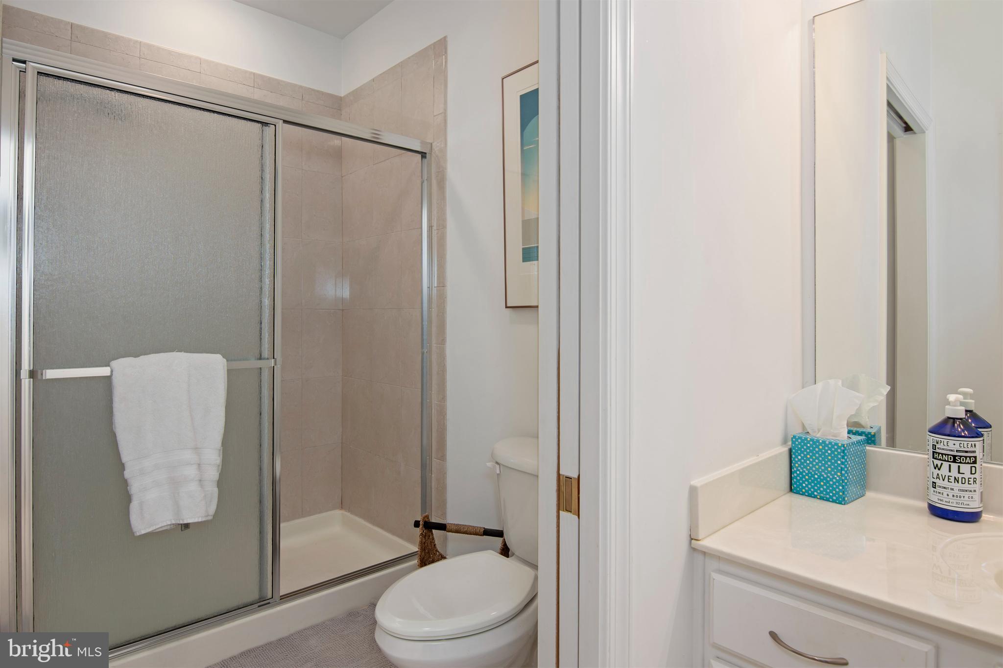3 Oakley Street, Unit 201 Cambridge, MD 21613 - Photo 22 of 41 a bathroom with a shower a toilet and sink