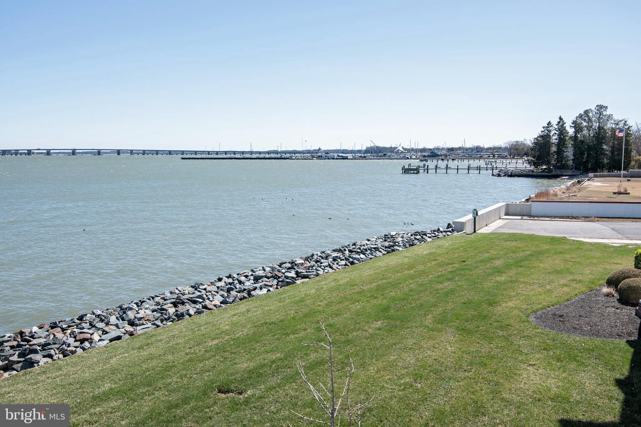 3 Oakley Street, Unit 201 Cambridge, MD 21613 - Photo 28 of 41 a view of a lake with a big yard