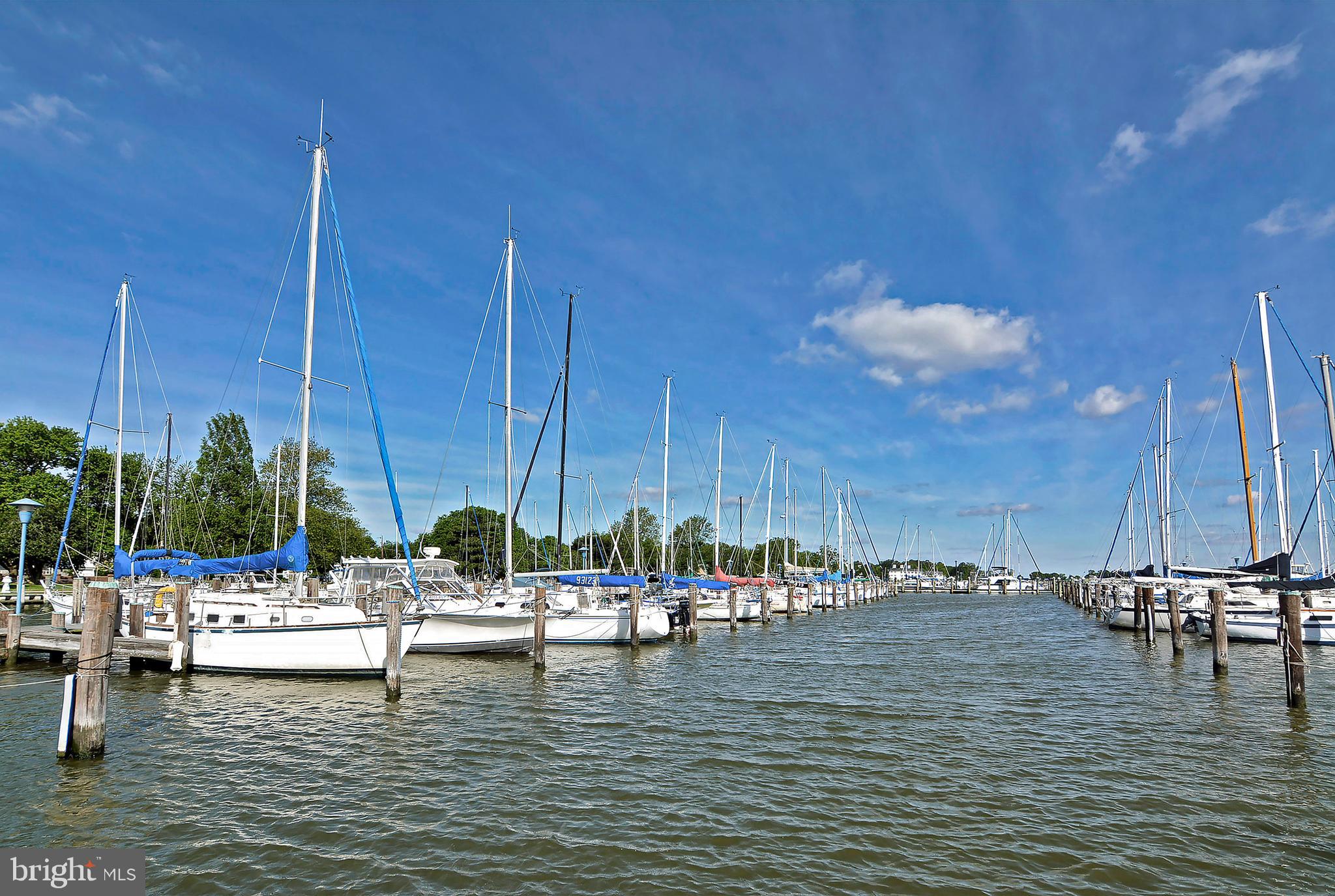 3 Oakley Street, Unit 201 Cambridge, MD 21613 - Photo 7 of 41 a view of water with boats and trees in the background