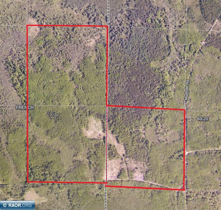 Tbd Mud Hole Road Side Lake, MN 55781 - Photo 24 of 24