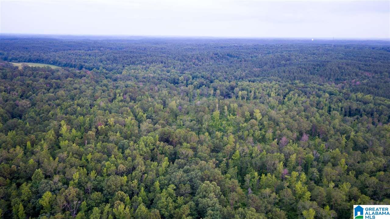 180 Gibson Road, Unit 76 / ACRES OFF GIBSON R Columbiana, AL 35051 - Photo 43 of 50