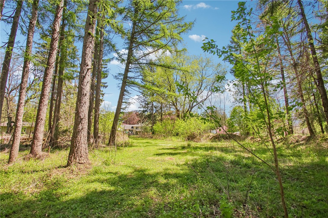 44 Crescent Hill Road Perinton, NY 14534 - Photo 43 of 50