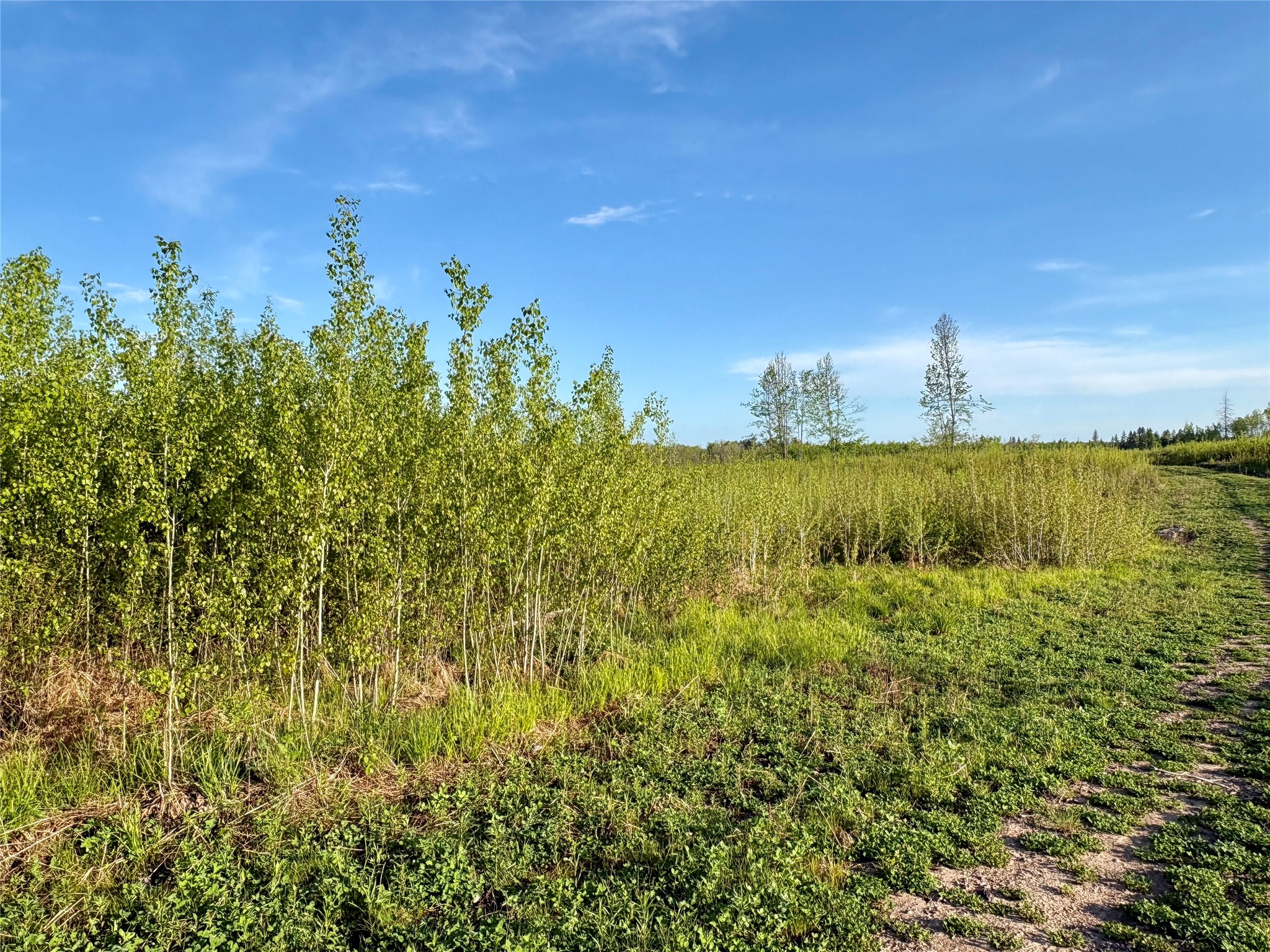 Lot 2 Girod Road Ladysmith, WI 54848 - Photo 7 of 26