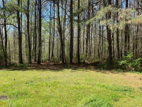 a view of a yard with large trees