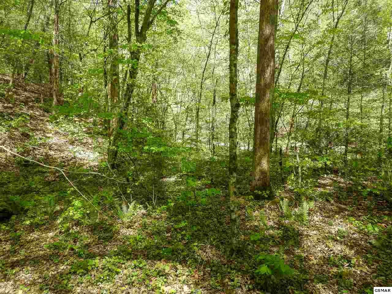 7 Old Birds Creek Road Sevierville, TN 37876 - Photo 14 of 15