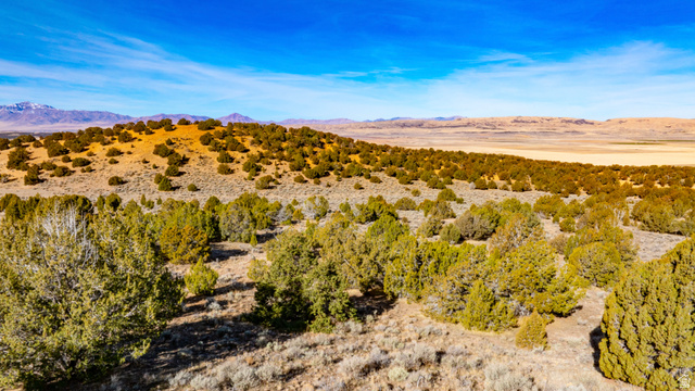 0 County Road 28 Levan, UT 84639 - Photo 86 of 207