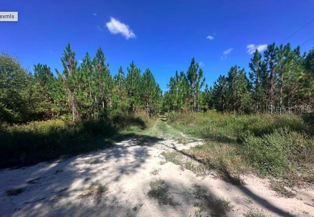 565 Southwest Daisy Road Lake City, FL 32024 - Photo 5 of 15 a view of a yard with trees in the background