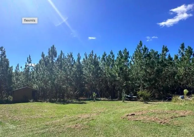 a view of a yard with a tree