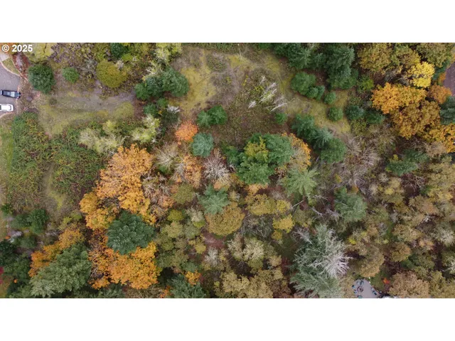 a open area of a house with a yard