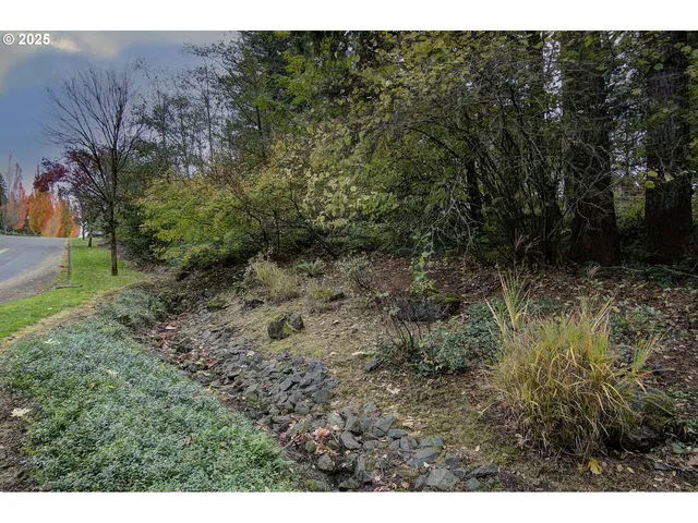 a view of a yard with a tree