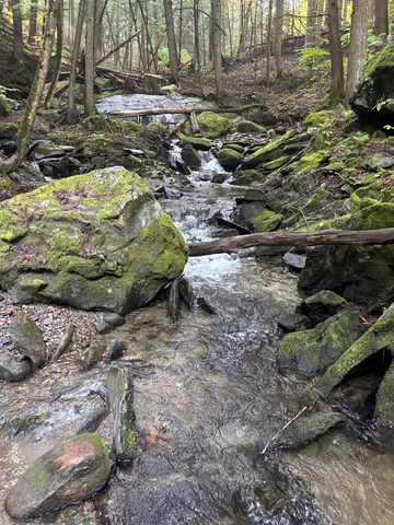 $1,300,000 | 581 Perry Lea Road, Waterbury, VT 05676