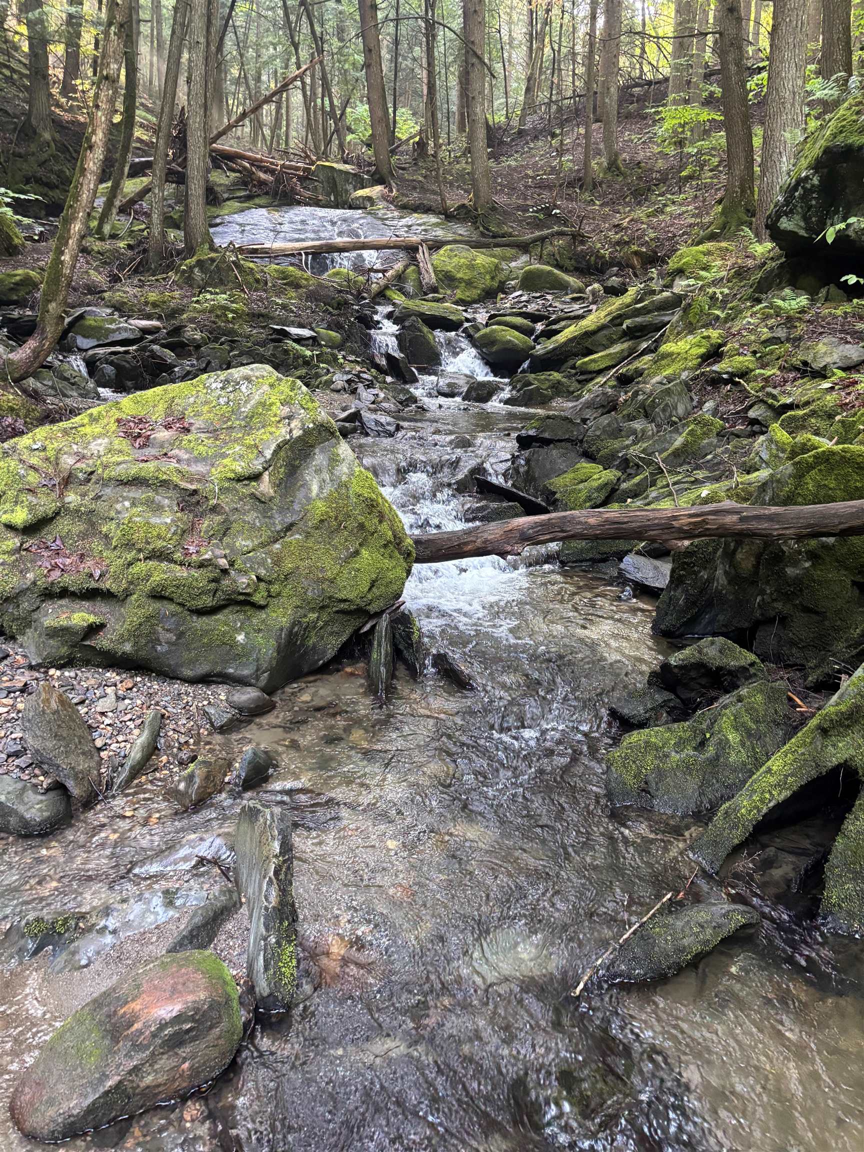 581 Perry Lea Road Waterbury, VT 05676 - Photo 45 of 60