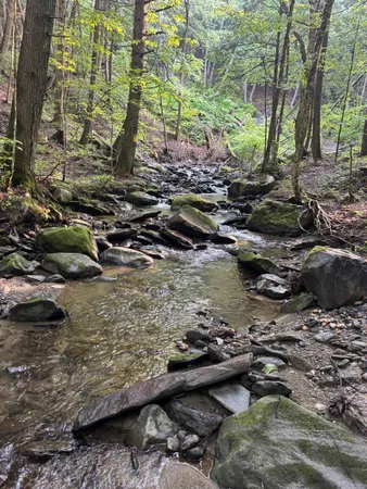 $1,250,000 | 581 Perry Lea Road, Waterbury, VT 05676