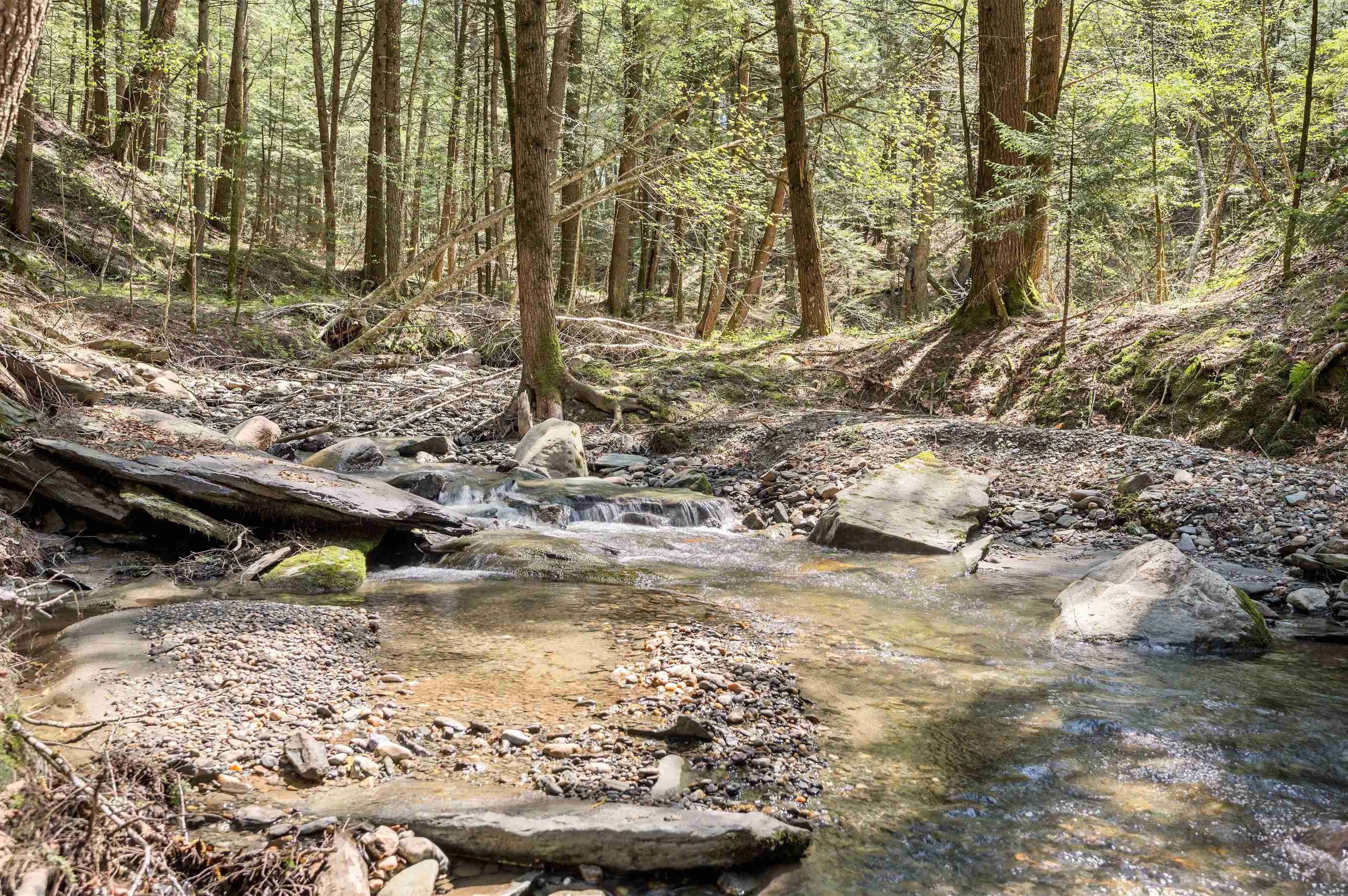 581 Perry Lea Road Waterbury, VT 05676 - Photo 58 of 60