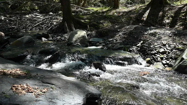 $1,300,000 | 581 Perry Lea Road, Waterbury, VT 05676