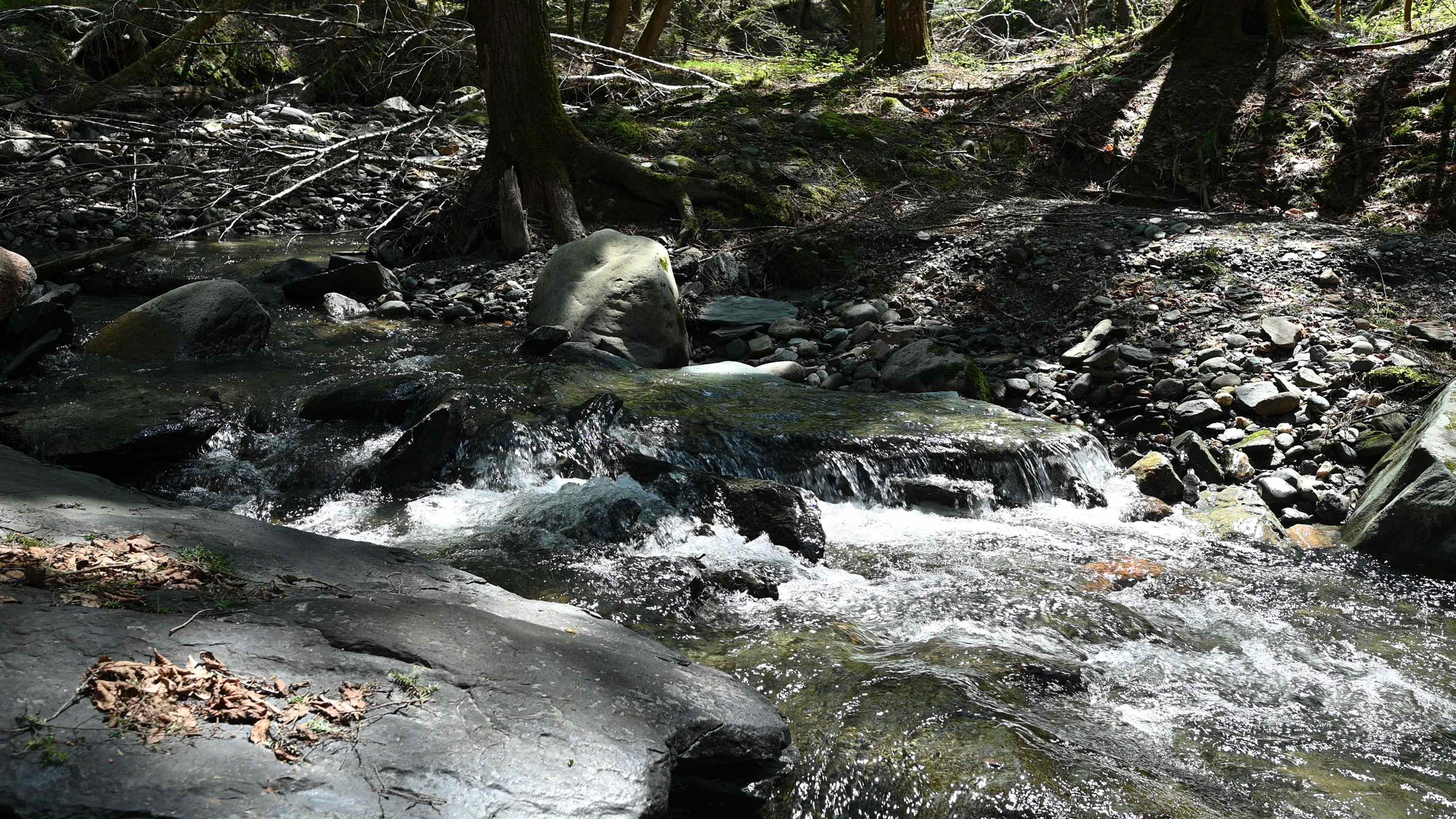 581 Perry Lea Road Waterbury, VT 05676 - Photo 59 of 60