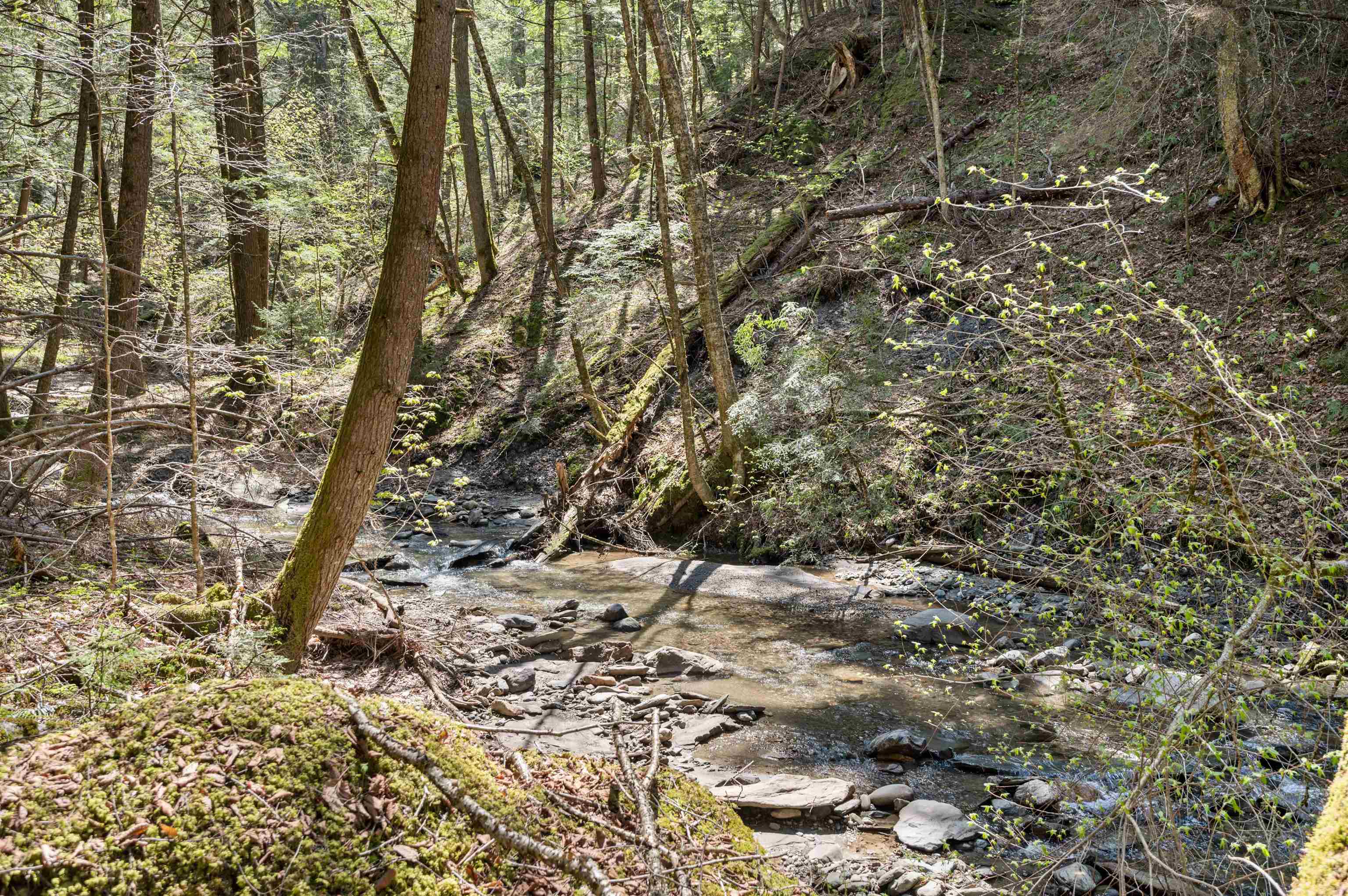 581 Perry Lea Road Waterbury, VT 05676 - Photo 60 of 60