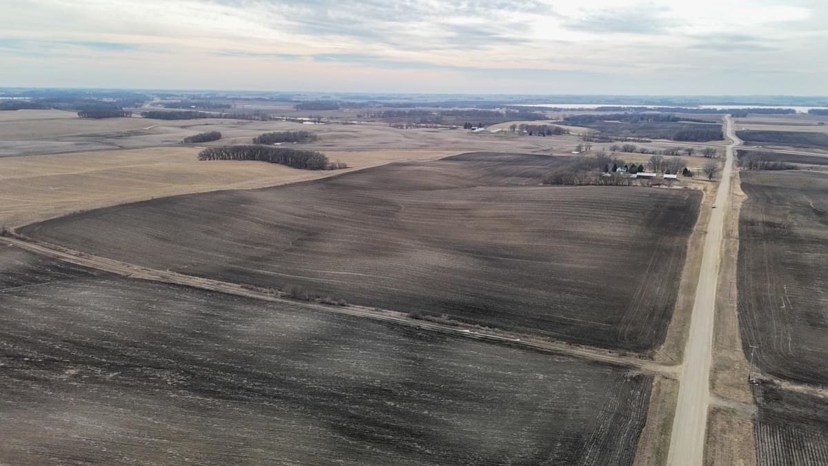 Tbd 135th Street Emmons, MN 56029 - Photo 13 of 21