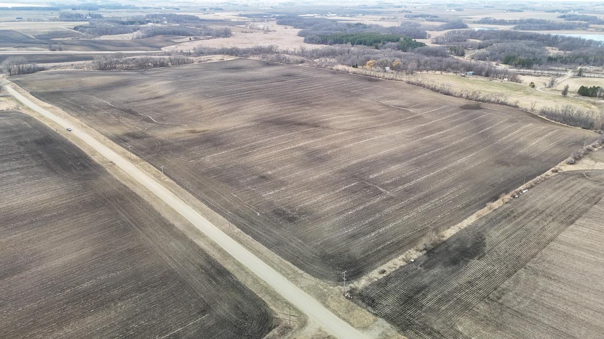 Tbd 135th Street Emmons, MN 56029 - Photo 14 of 21