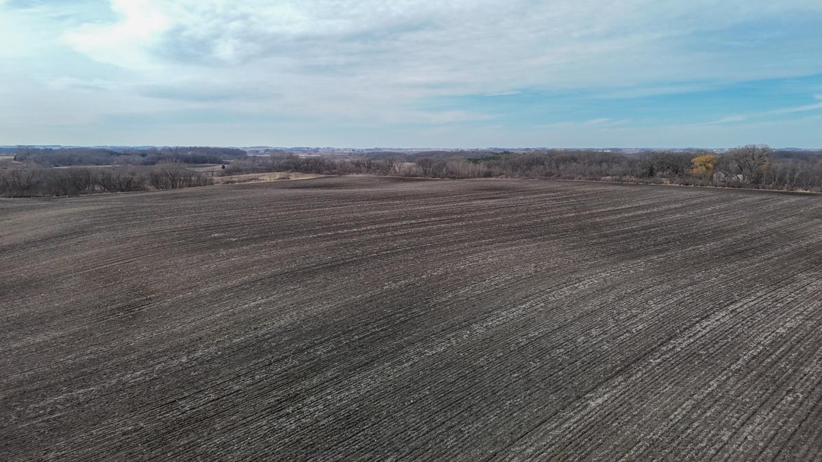 Tbd 135th Street Emmons, MN 56029 - Photo 17 of 21