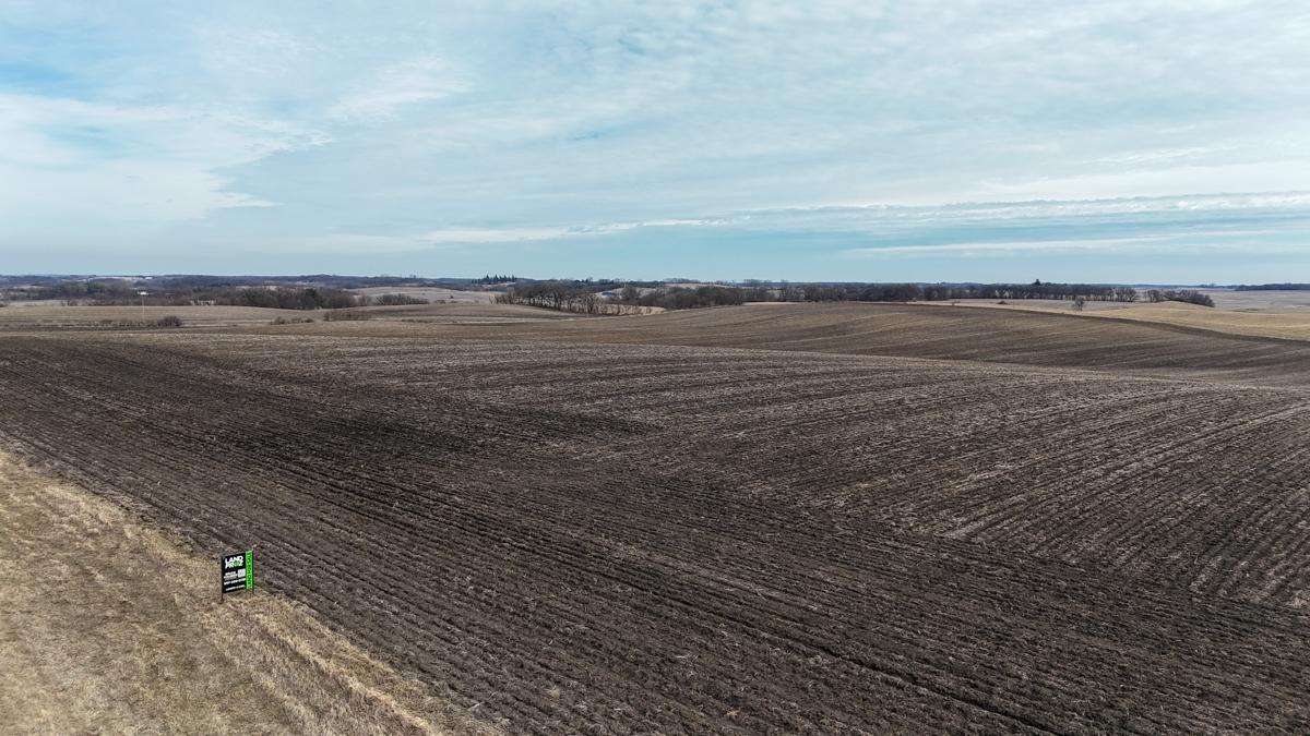Tbd 135th Street Emmons, MN 56029 - Photo 21 of 21