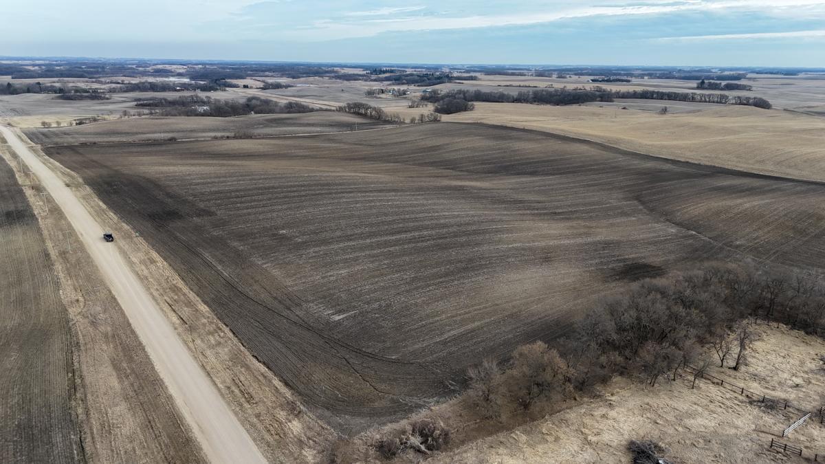 Tbd 135th Street Emmons, MN 56029 - Photo 3 of 21