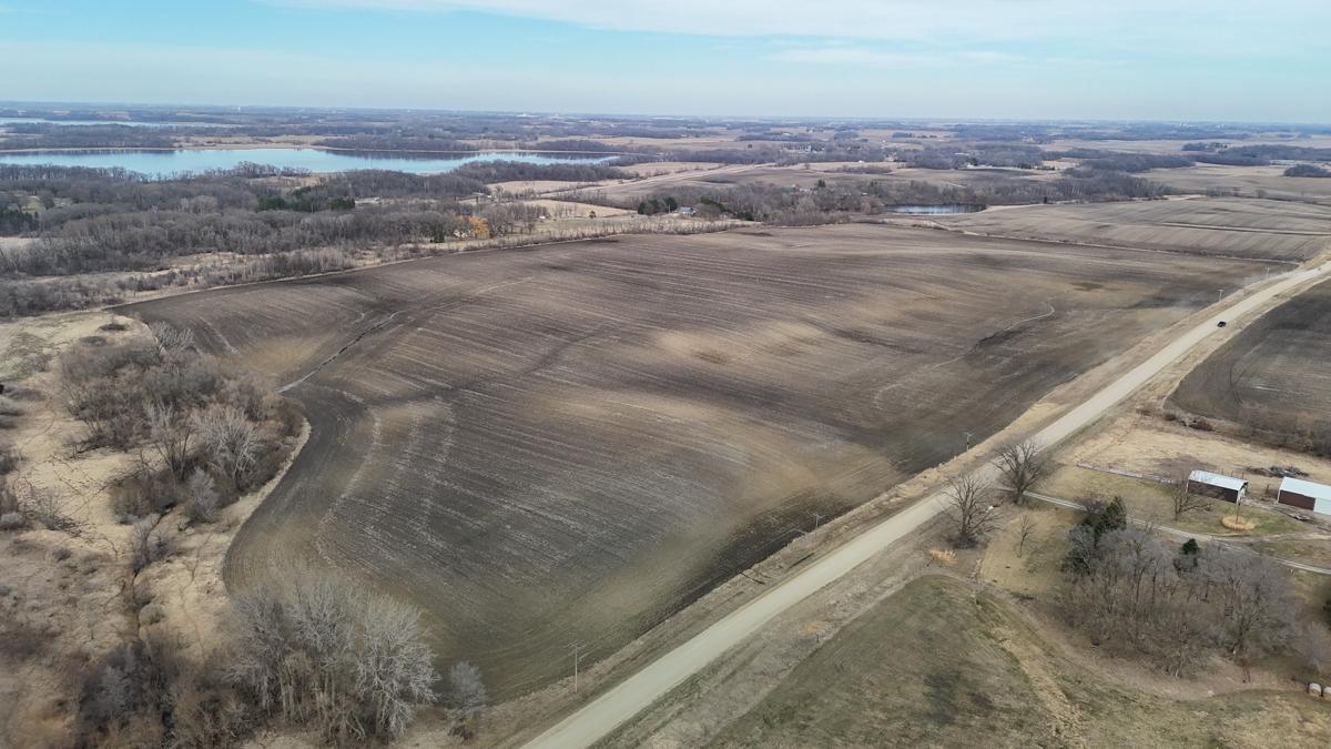 Tbd 135th Street Emmons, MN 56029 - Photo 4 of 21