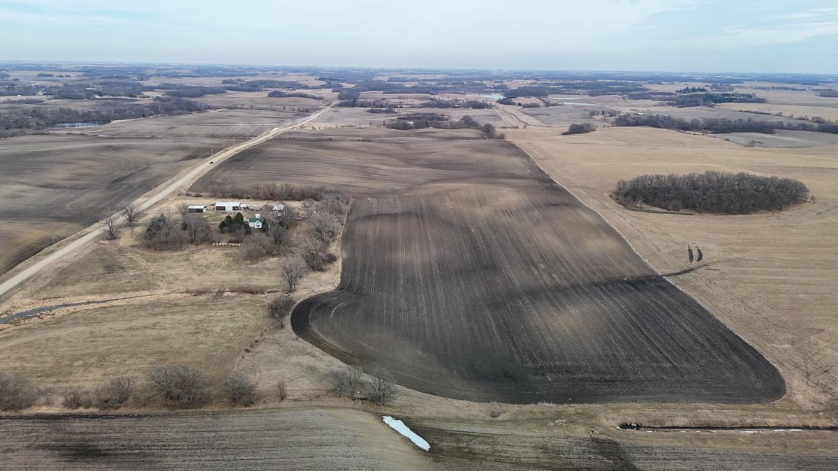 Tbd 135th Street Emmons, MN 56029 - Photo 5 of 21