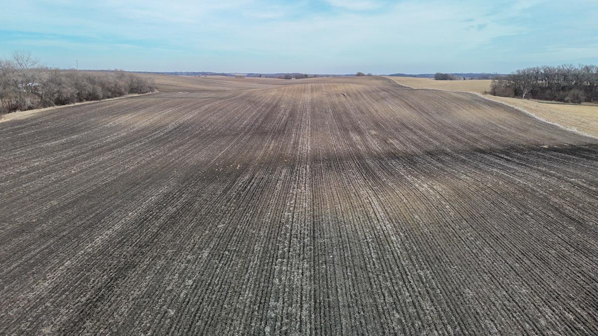 Tbd 135th Street Emmons, MN 56029 - Photo 6 of 21