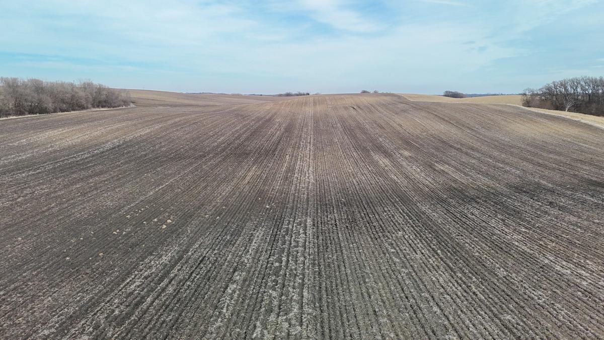 Tbd 135th Street Emmons, MN 56029 - Photo 7 of 21