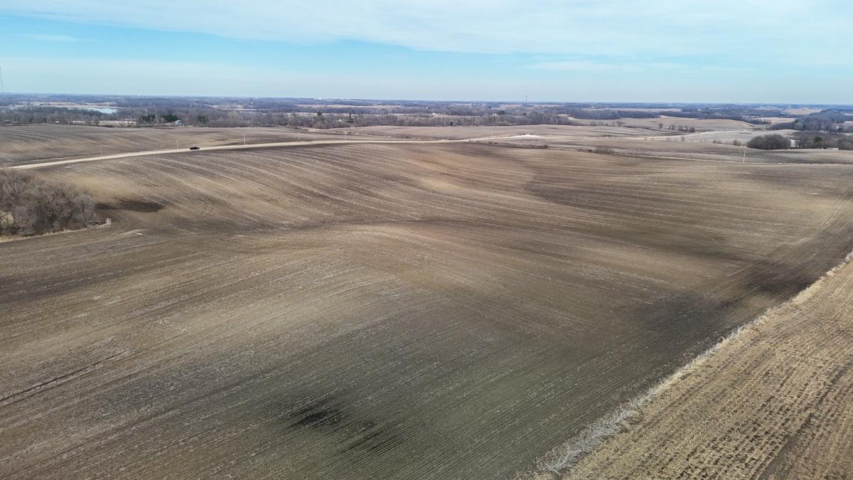 Tbd 135th Street Emmons, MN 56029 - Photo 8 of 21