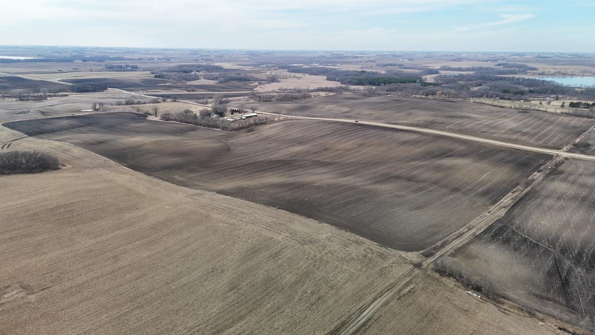 Tbd 135th Street Emmons, MN 56029 - Photo 10 of 21