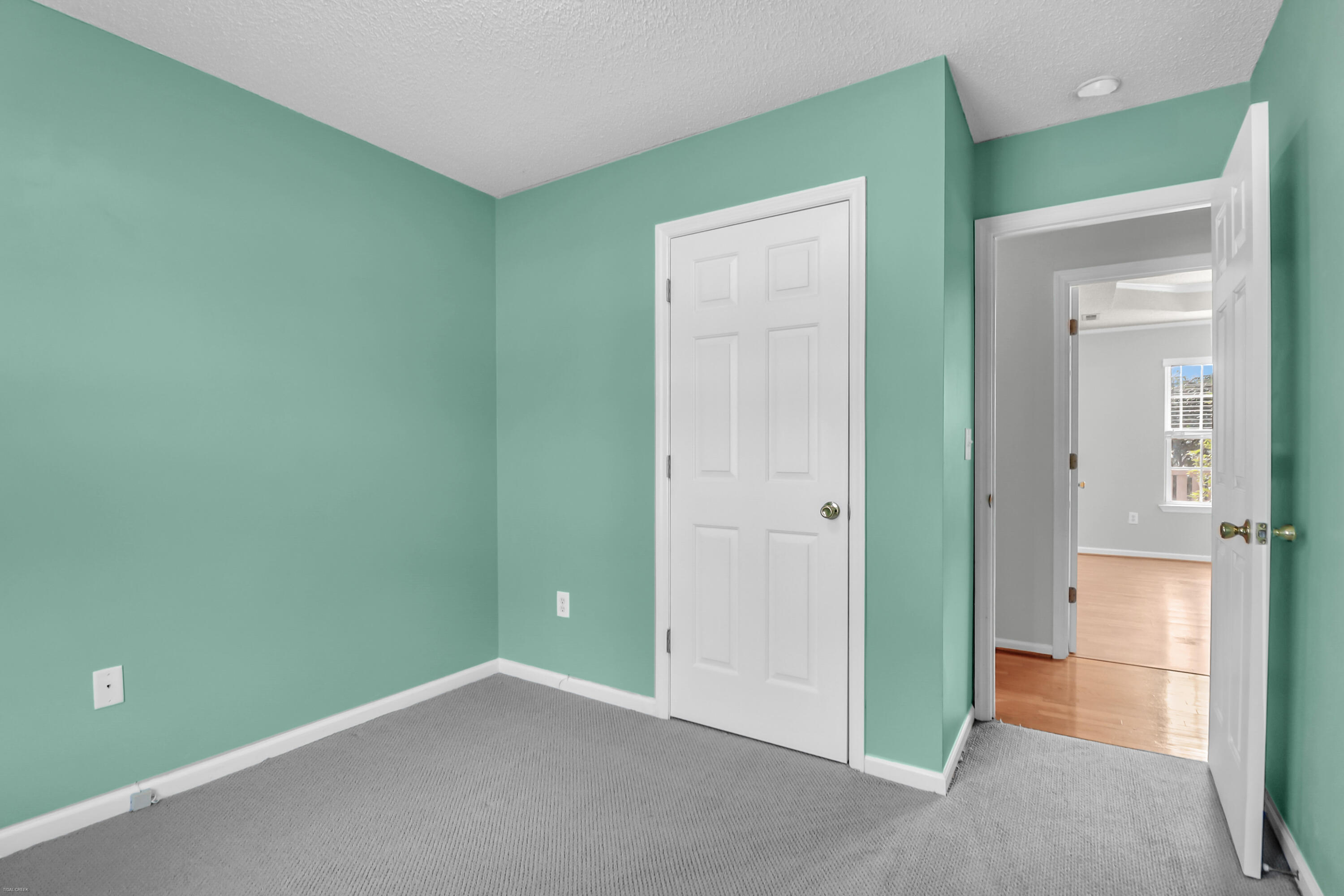 2629 Lani Court Charleston, SC 29414 - Photo 23 of 38 Bedroom Three