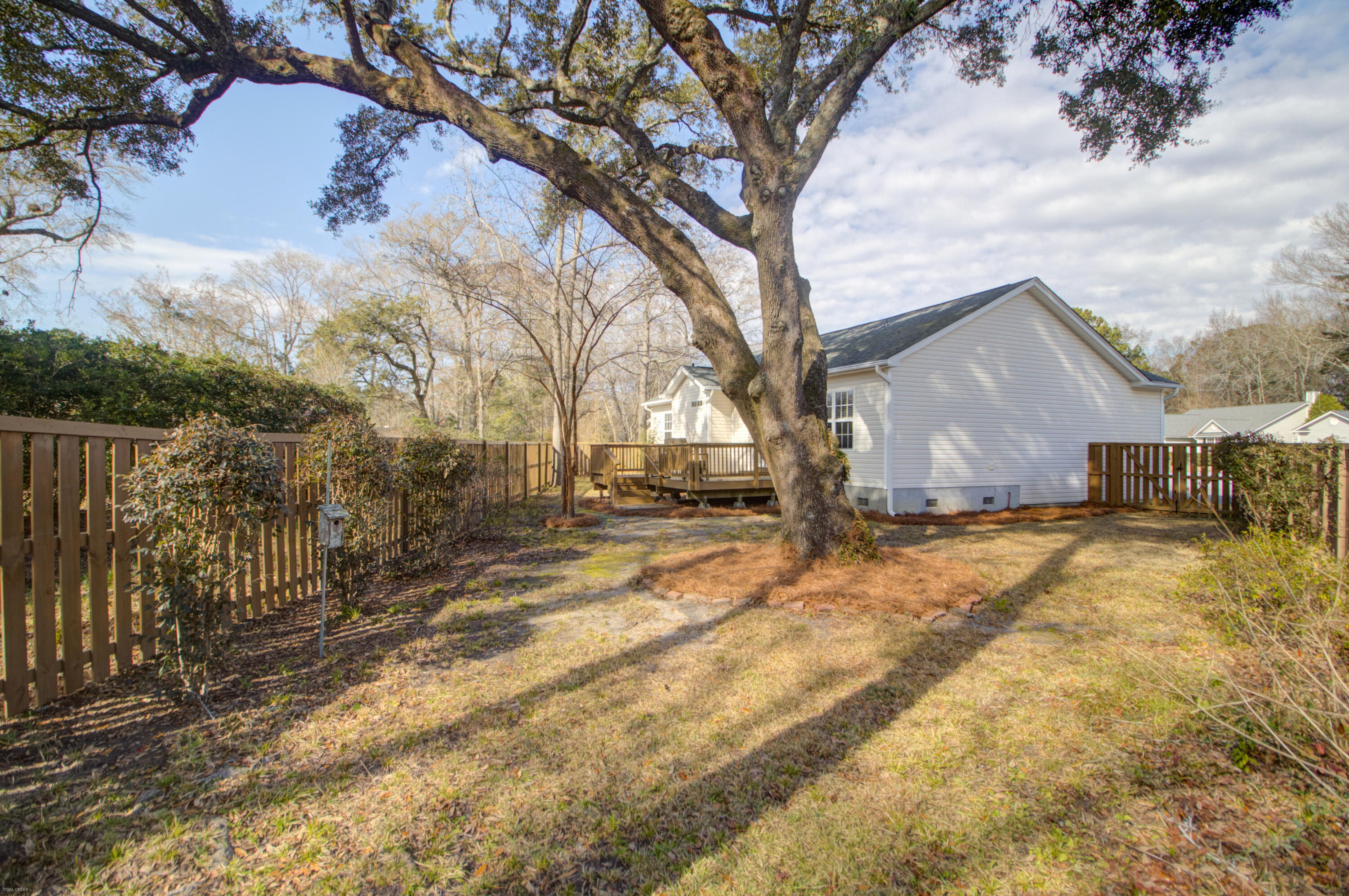 2629 Lani Court Charleston, SC 29414 - Photo 35 of 38 Backyard