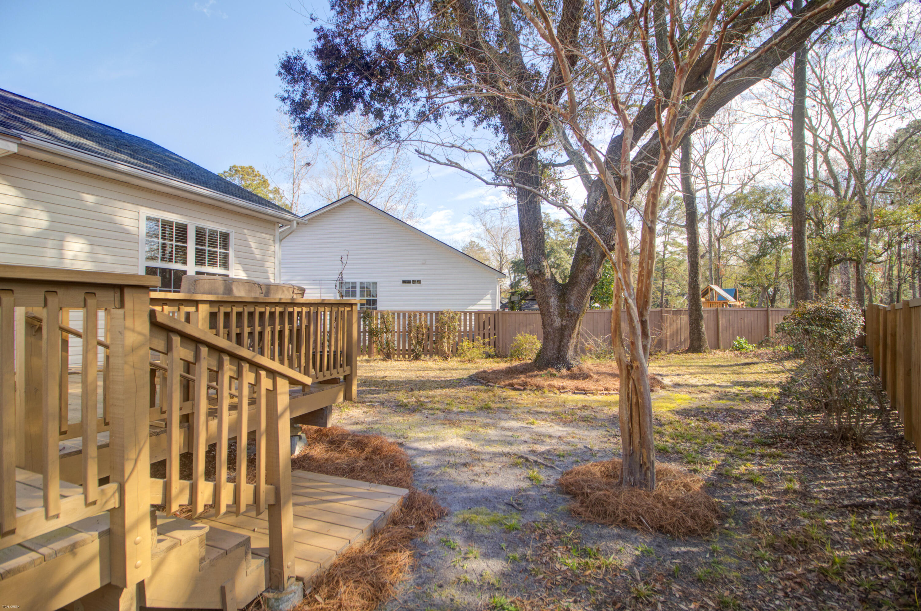 2629 Lani Court Charleston, SC 29414 - Photo 38 of 38 Beautiful Tree