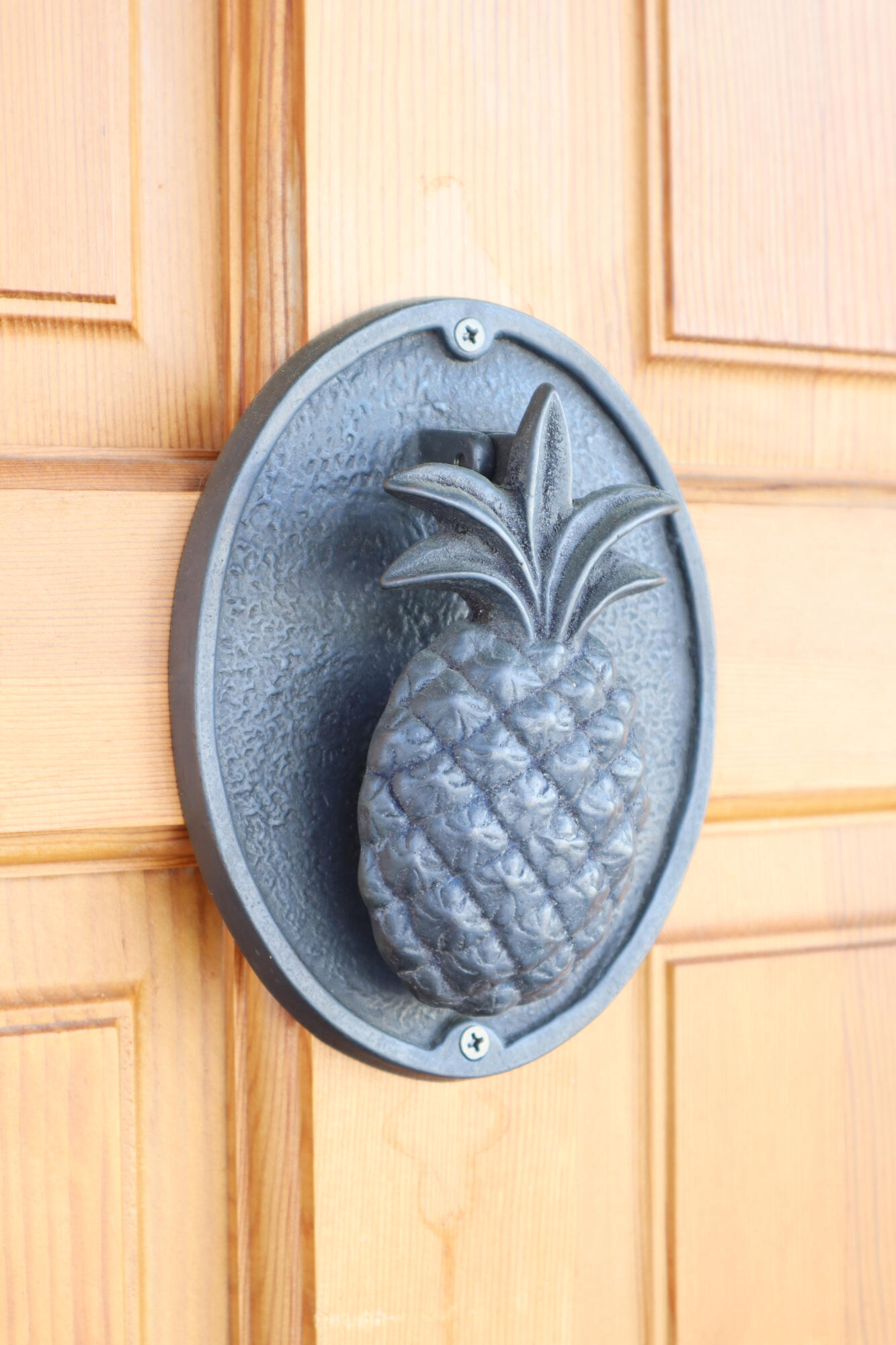 2629 Lani Court Charleston, SC 29414 - Photo 7 of 38 Front Door