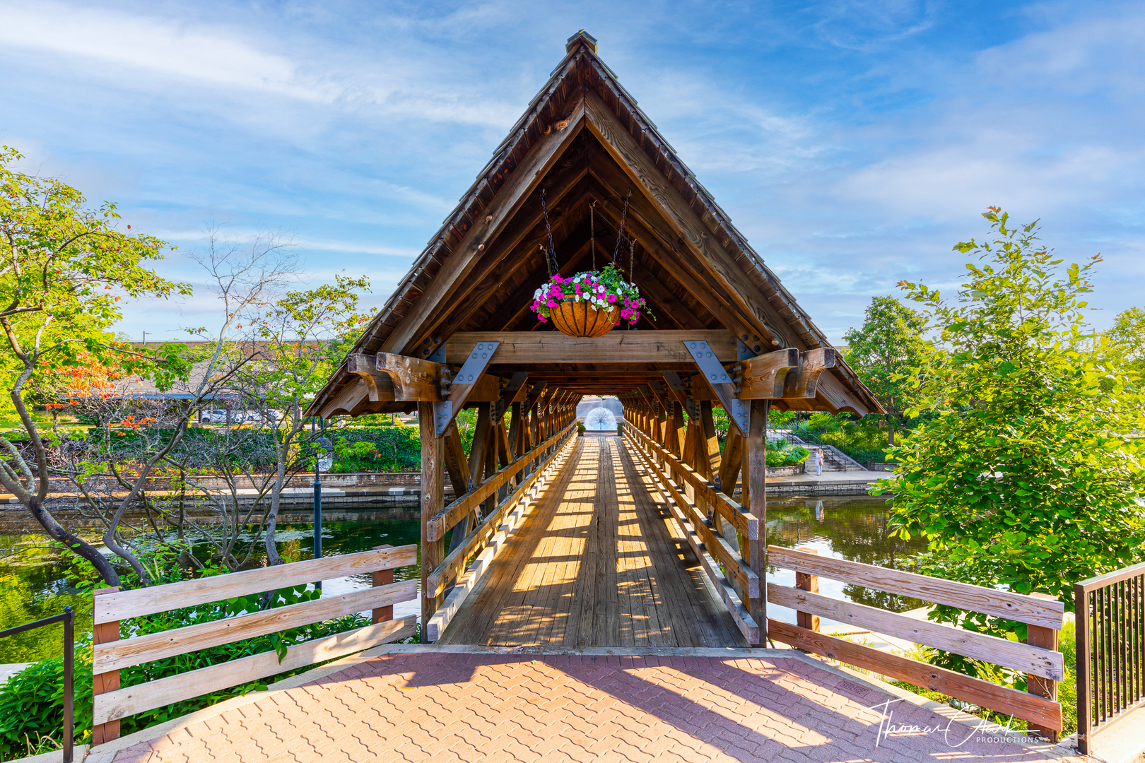 203 South Columbia Street Naperville, IL 60540 - Photo 50 of 59 a view of small yard in front of house