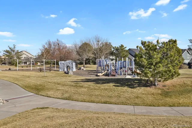 a view of a yard with trees