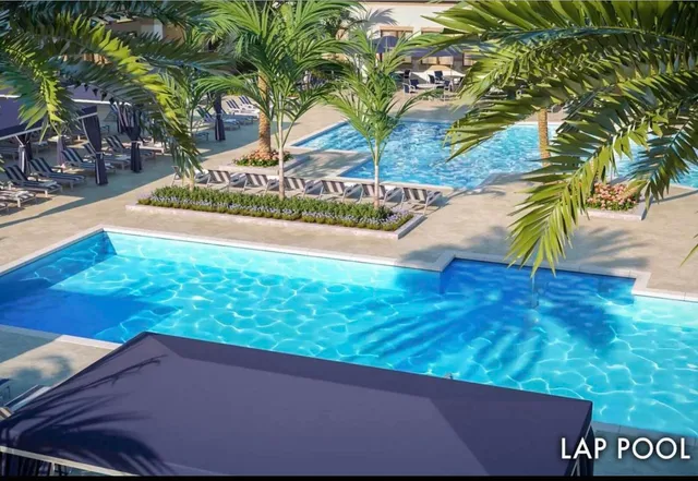 a view of a park with plants and trees