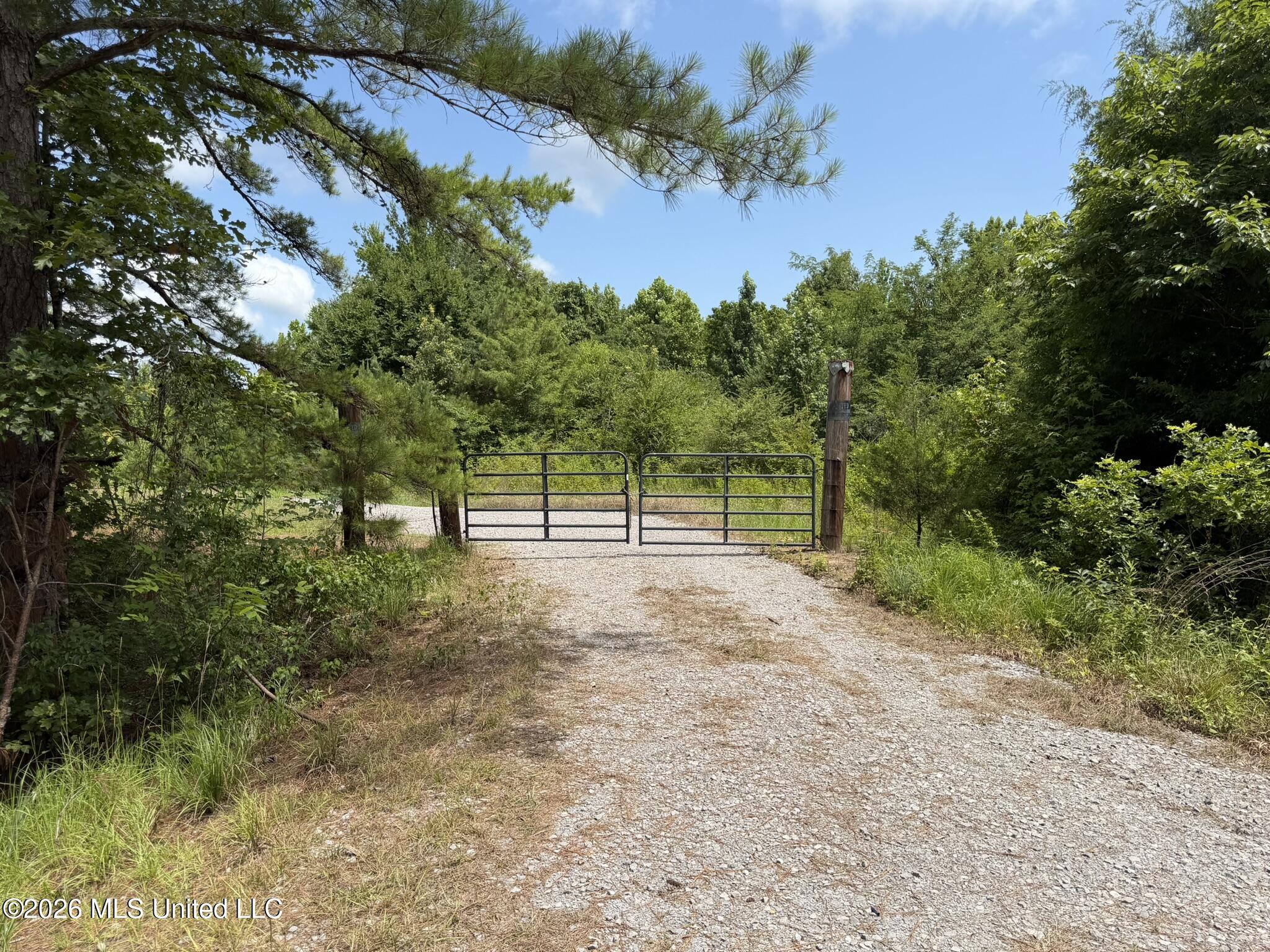 4267 Race Track Road West, MS 39192 - Photo 18 of 57 IMG_1263