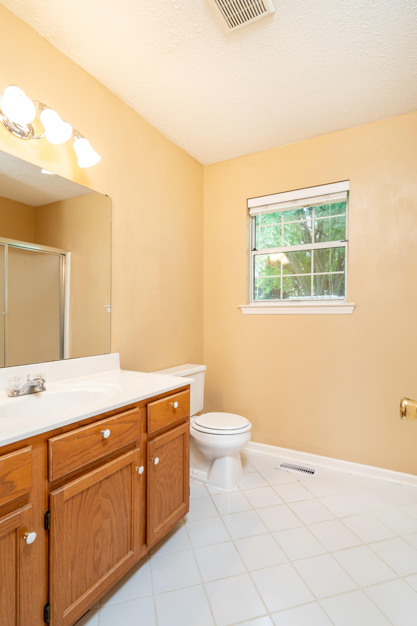 195 Misty Ridge Lane Ringgold, GA 30736 - Photo 17 of 28 Bathroom