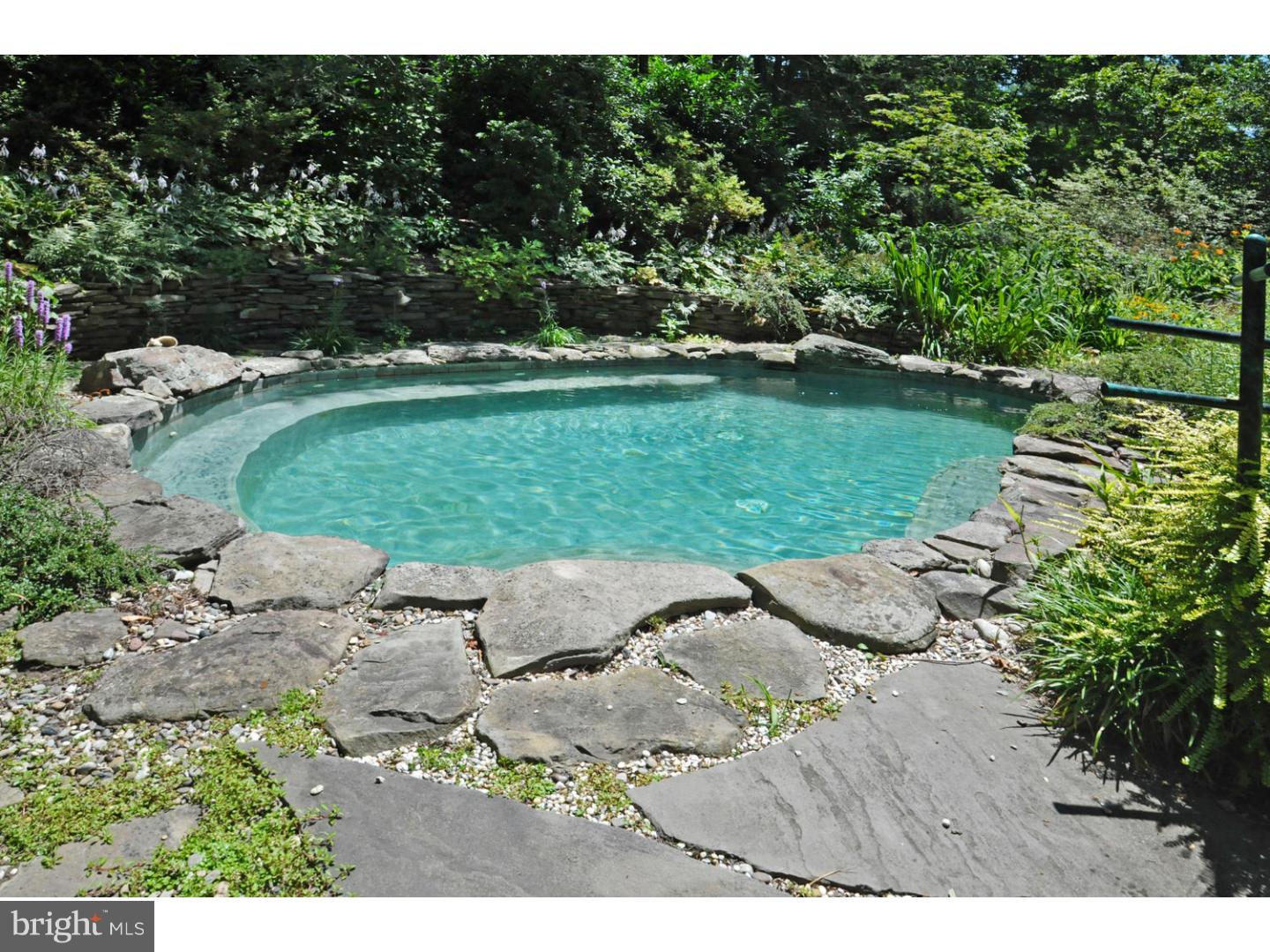 1045 Leopard Road Rydal, PA 19046 - Photo 23 of 25 Pool