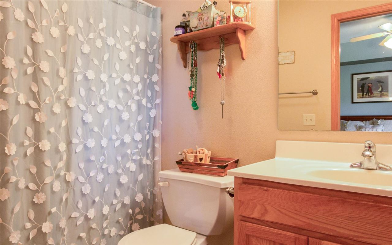 706 Wood Lily Road Solon, IA 52333 - Photo 11 of 25 Gallery Image 11