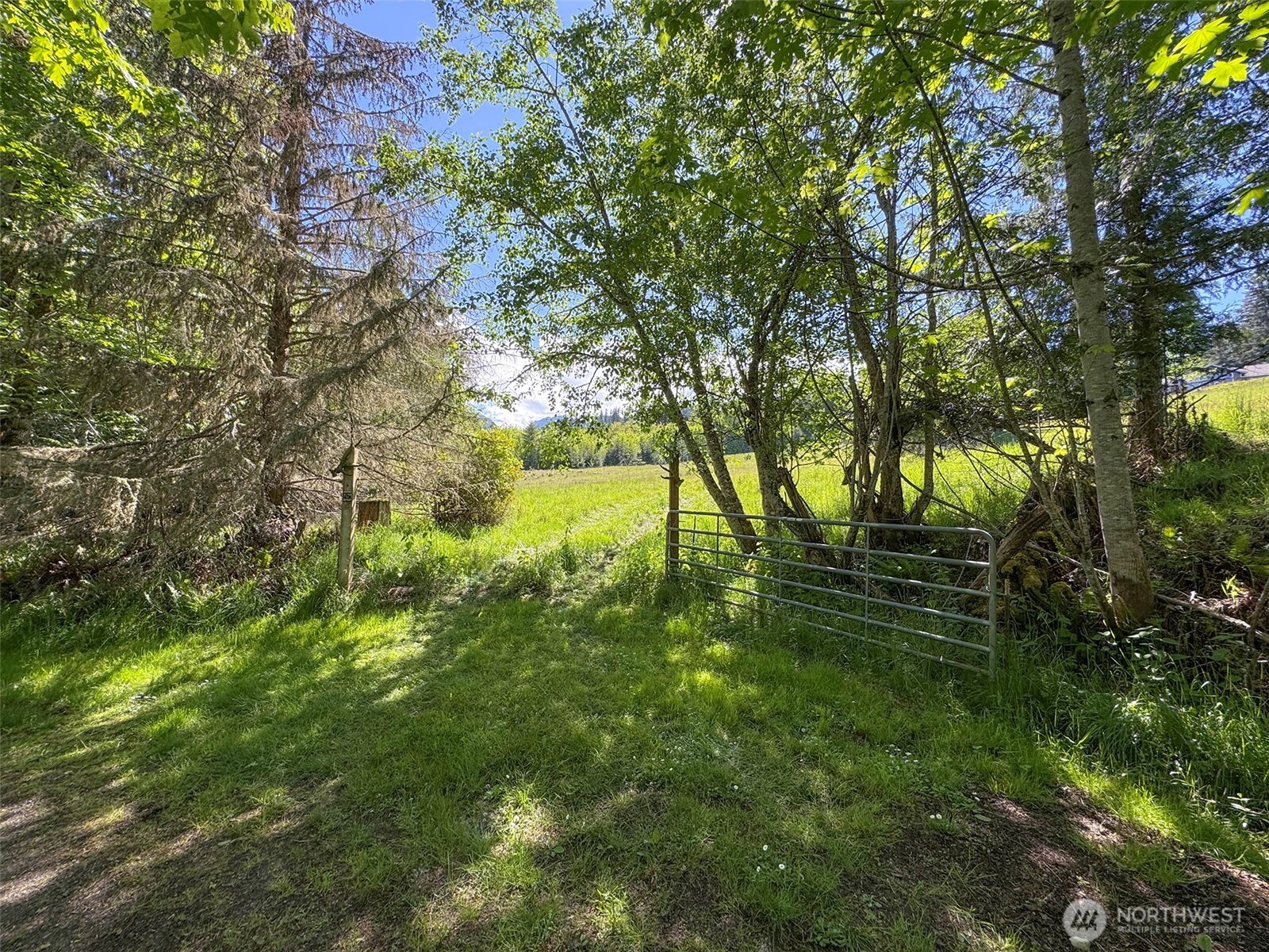 9999 Kruse Road Port Angeles, WA 98362 - Photo 11 of 39