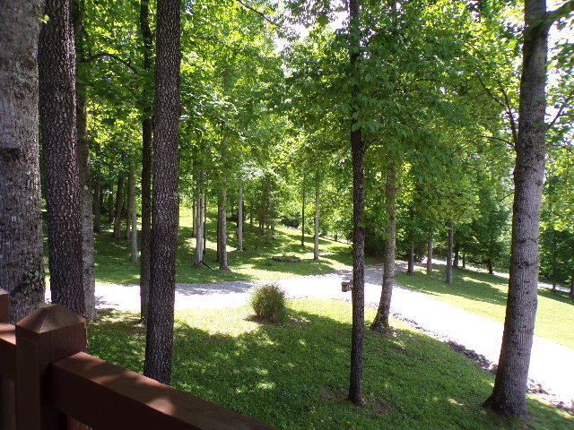 2031 Milky Way Road Jamestown, TN 38556 - Photo 7 of 40 20180525001709491113000000-o