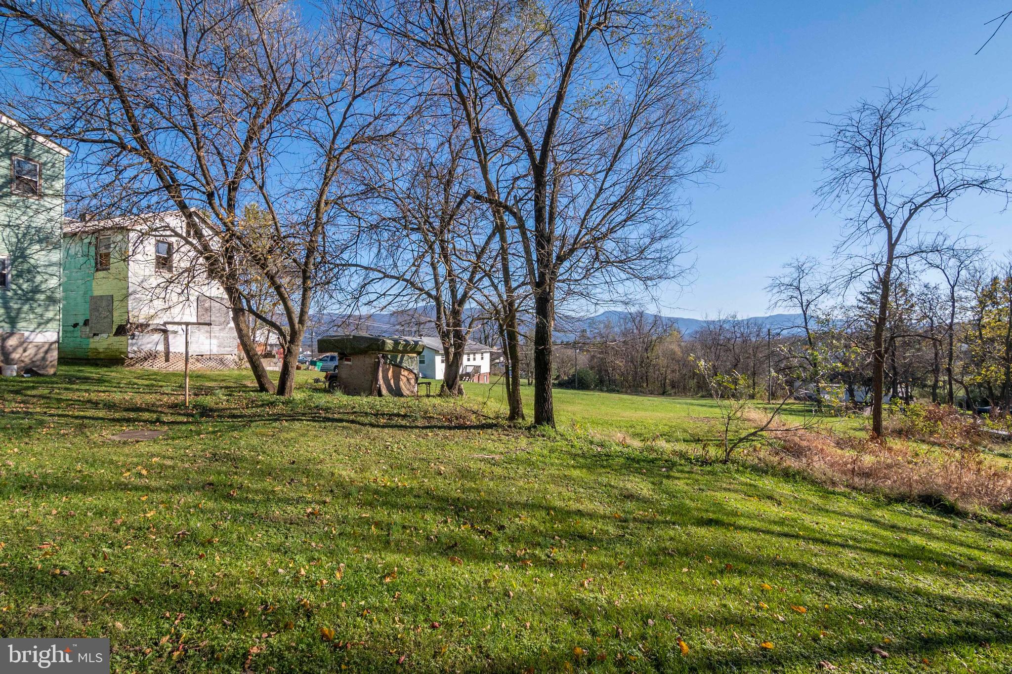 115 Bixlers Ferry Road Luray, VA 22835 - Photo 30 of 56 Back Yard