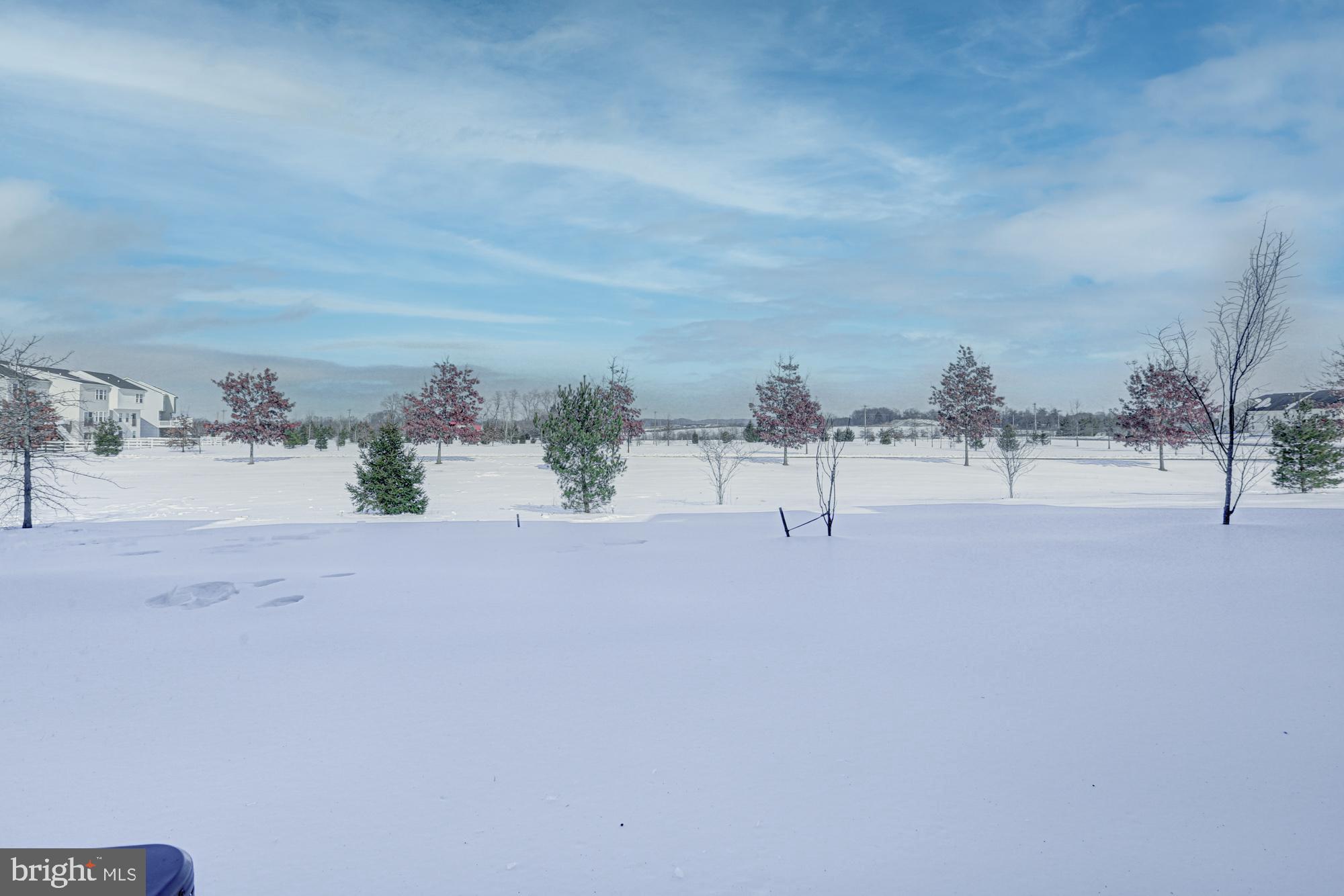 1102 Wickersham Way Middletown, DE 19709 - Photo 11 of 68