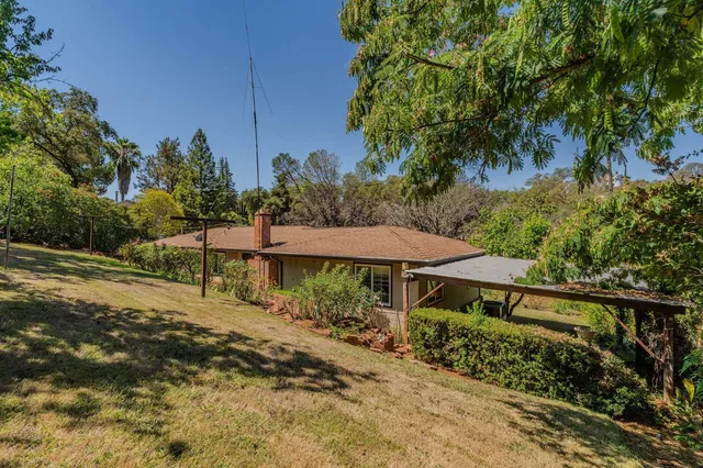 a view of a garden with a bench under an umbrella